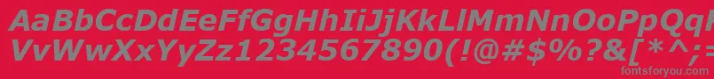 VerdanaKoi8BoldItalic Font – Gray Fonts on Red Background