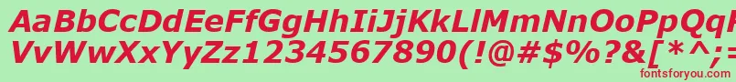 VerdanaKoi8BoldItalic Font – Red Fonts on Green Background