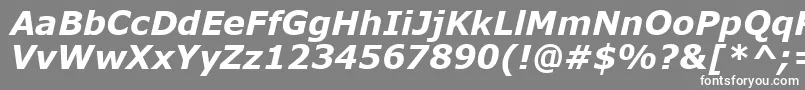 フォントVerdanaKoi8BoldItalic – 灰色の背景に白い文字