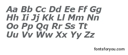 VerdanaKoi8BoldItalic-fontti