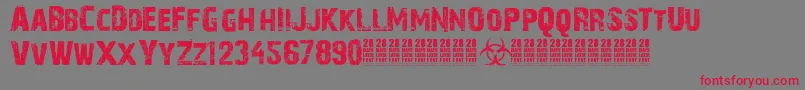 28 Days Later Font – Red Fonts on Gray Background