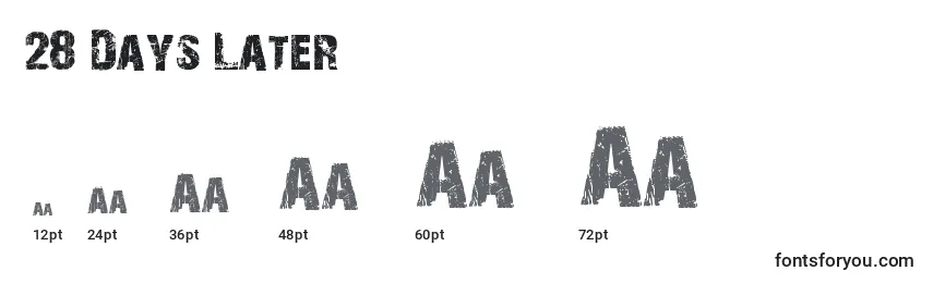 28 Days Later Font Sizes