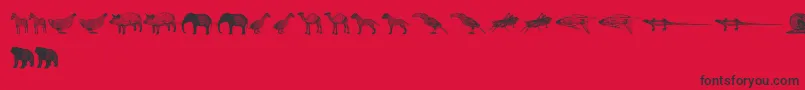Подробнее о шрифте 3DAnimals Шрифт 3DAnimals – чёрные шрифты на красном фоне