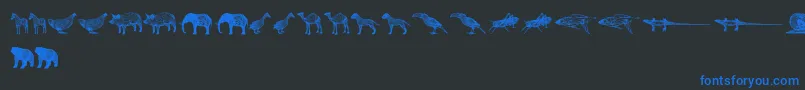 3DAnimals Font – Blue Fonts on Black Background