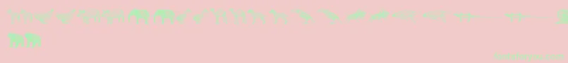 3DAnimals Font – Green Fonts on Pink Background