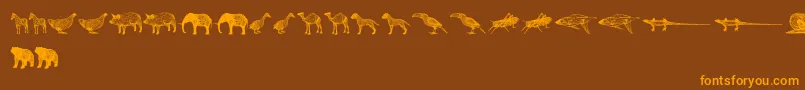 3DAnimals Font – Orange Fonts on Brown Background