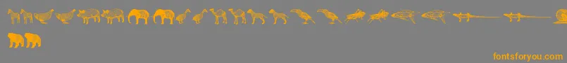 3DAnimals Font – Orange Fonts on Gray Background