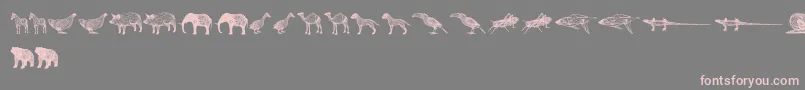 3DAnimals Font – Pink Fonts on Gray Background