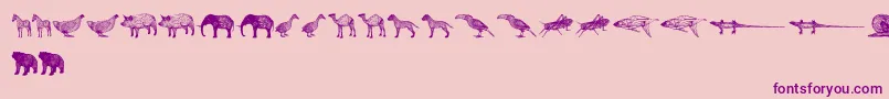 3DAnimals Font – Purple Fonts on Pink Background