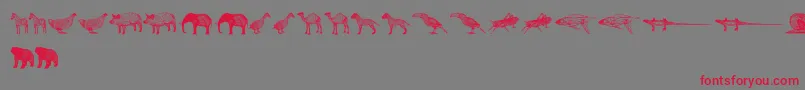 3DAnimals Font – Red Fonts on Gray Background