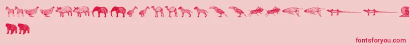 fuente 3DAnimals – Fuentes Rojas Sobre Fondo Rosa