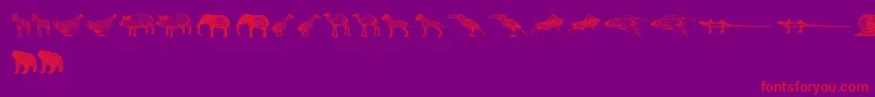 3DAnimals-Schriftart – Rote Schriften auf violettem Hintergrund