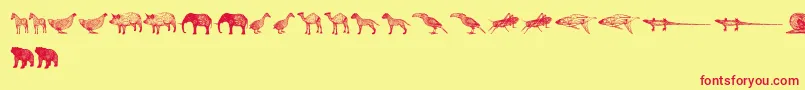 3DAnimals Font – Red Fonts on Yellow Background