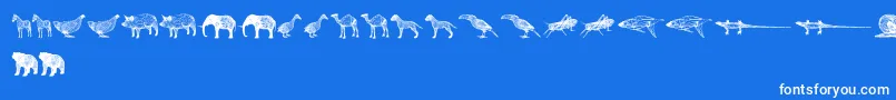3DAnimals Font – White Fonts on Blue Background
