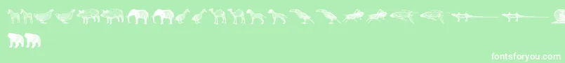 3DAnimals Font – White Fonts on Green Background