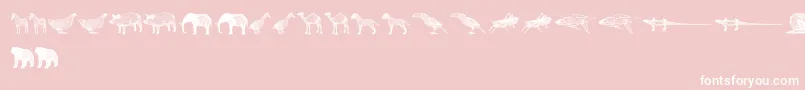 3DAnimals Font – White Fonts on Pink Background