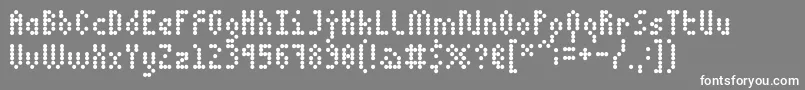 5dotmatrix 1979 Font – White Fonts on Gray Background