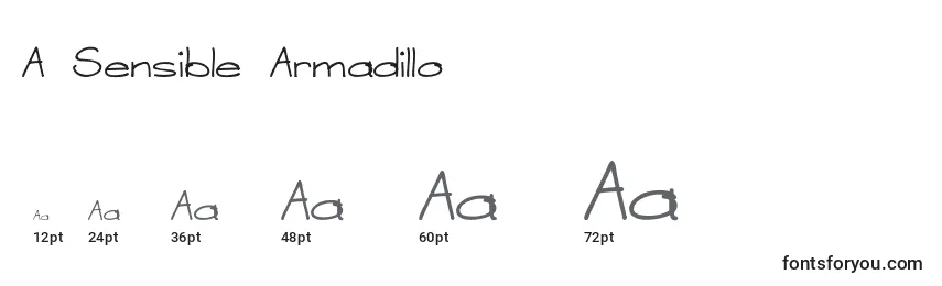 Размеры шрифта A Sensible Armadillo