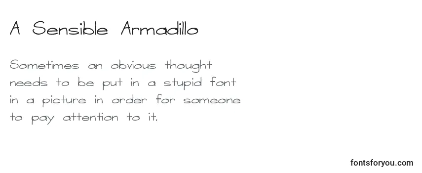 A Sensible Armadillo Font