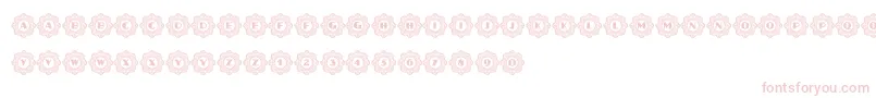 AafiaCapitals Font – Pink Fonts on White Background