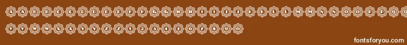 AafiaCapitals Font – White Fonts on Brown Background