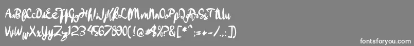 aApollo Font – White Fonts on Gray Background
