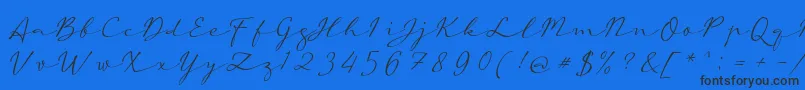 aAutoSignature Font – Black Fonts on Blue Background