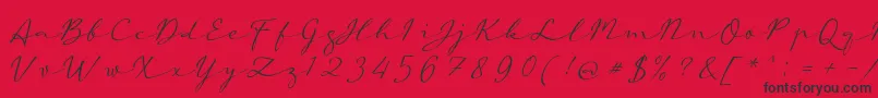 aAutoSignature Font – Black Fonts on Red Background