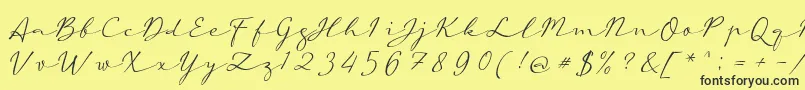 フォントaAutoSignature – 黒い文字の黄色い背景