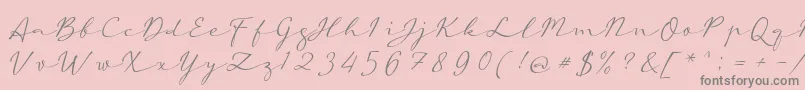 フォントaAutoSignature – ピンクの背景に灰色の文字