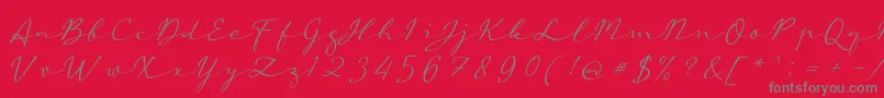 aAutoSignature Font – Gray Fonts on Red Background