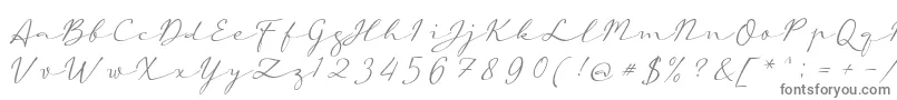 フォントaAutoSignature – 白い背景に灰色の文字