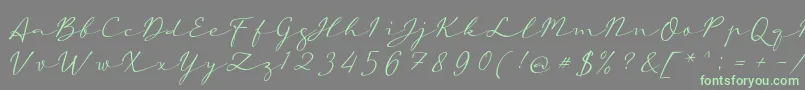 aAutoSignature Font – Green Fonts on Gray Background