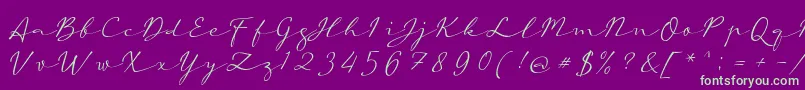 aAutoSignature Font – Green Fonts on Purple Background