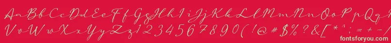 aAutoSignature Font – Green Fonts on Red Background