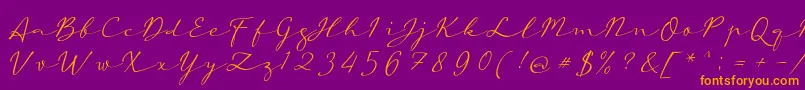 aAutoSignature Font – Orange Fonts on Purple Background