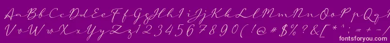 aAutoSignature Font – Pink Fonts on Purple Background