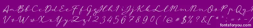 aAutoSignature-Schriftart – Weiße Schriften auf violettem Hintergrund