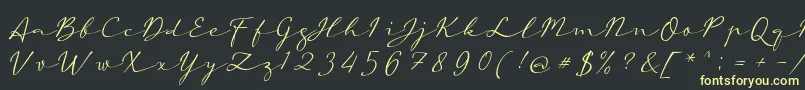 フォントaAutoSignature – 黒い背景に黄色の文字