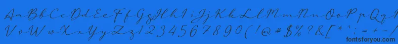 フォントaAutoSignature – 黒い文字の青い背景