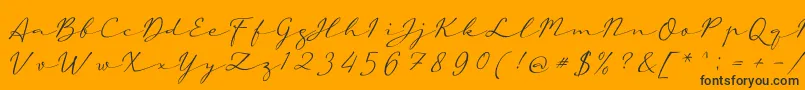 aAutoSignature-Schriftart – Schwarze Schriften auf orangefarbenem Hintergrund