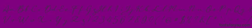 aAutoSignature Font – Black Fonts on Purple Background