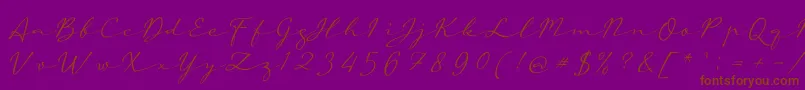 aAutoSignature Font – Brown Fonts on Purple Background