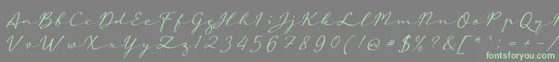 aAutoSignature-Schriftart – Grüne Schriften auf grauem Hintergrund