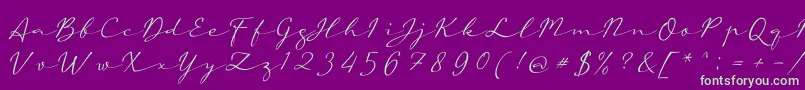 aAutoSignature-Schriftart – Grüne Schriften auf violettem Hintergrund