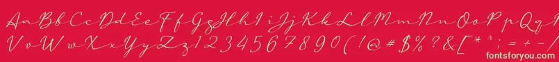 aAutoSignature Font – Green Fonts on Red Background