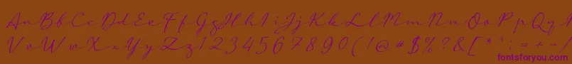 aAutoSignature-Schriftart – Violette Schriften auf braunem Hintergrund