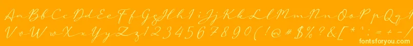 aAutoSignature Font – Yellow Fonts on Orange Background