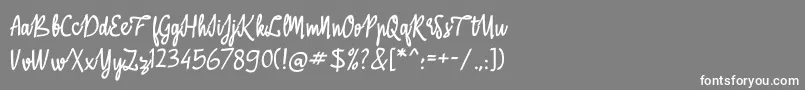 フォントABasterRules – 灰色の背景に白い文字