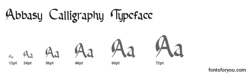 Размеры шрифта Abbasy Calligraphy Typeface